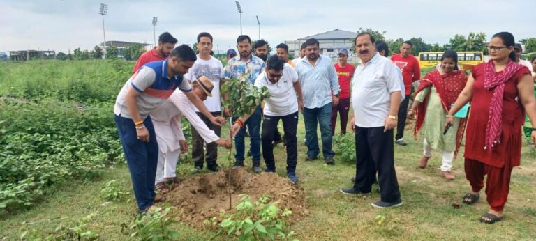 FB_IMG_1752649476457